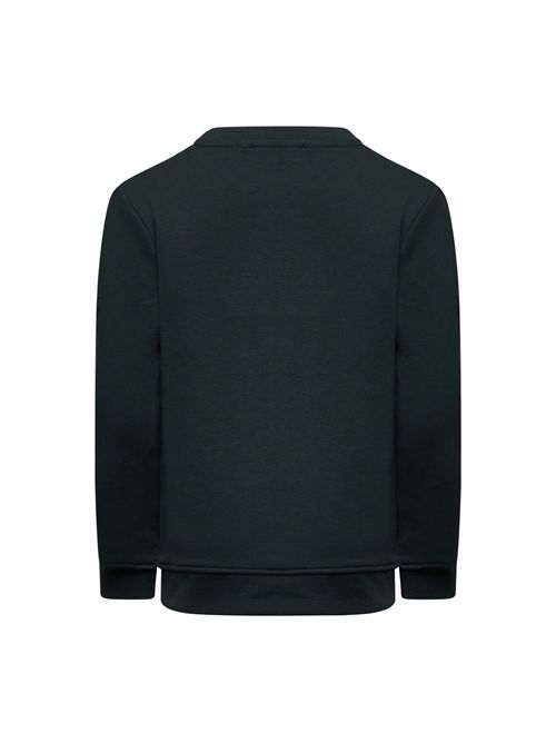 Felpa verde logo TRUSSARDI | TBA25097FEVERDE